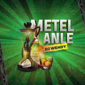 Metel Anle