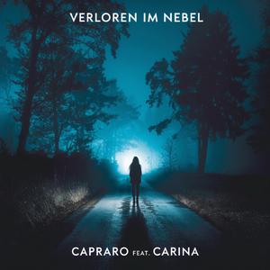 Verloren im Nebel (feat. Carina)