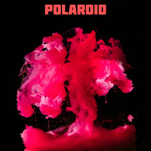 Polaroid