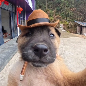 极简钢琴与白噪音编织的编程静域.wav