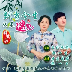 就当今生从未遇见 (舞曲版)