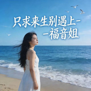 只求来生别遇上 (DJ涵哈版)