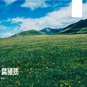腐殖质