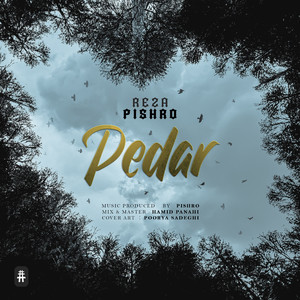 Pedar