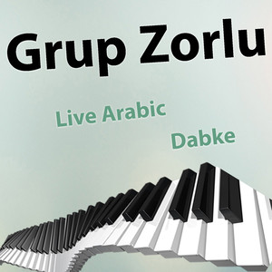 Live Arabic Dabke Vol. 13