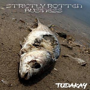 Disgusting Funk Flow