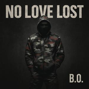 NO LOVE LOST