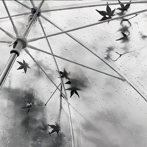 雨点想你