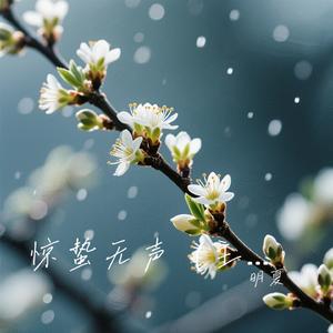 惊蛰无声（主题曲）