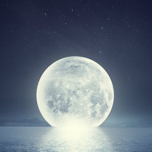 慢慢成长