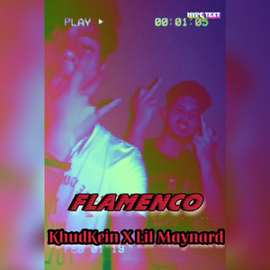 Flamenco
