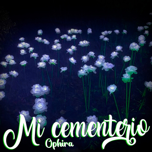 Mi Cementerio