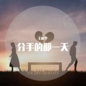 分手的那一天