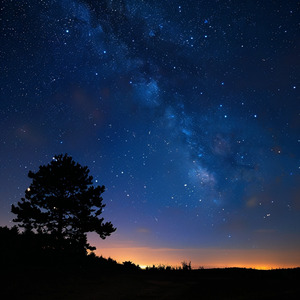 忙しい日々の終わりに聴きたい癒し系音楽