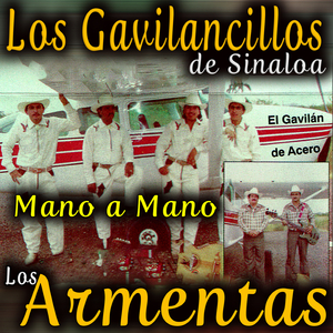 El Gavilán de Acero