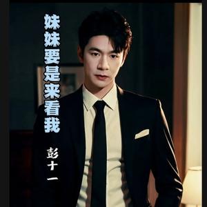 妹妹要是来看我 (DJ版)