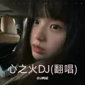 心之火DJ (谁的爱太疯任性的挥霍)(DJ阿晗|DJ思怡Remix remix)