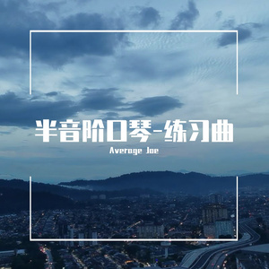 爱尔兰画眉-半音阶口琴_无伴奏_