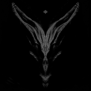 the faulty walnuts through which we assess reality (our brains)