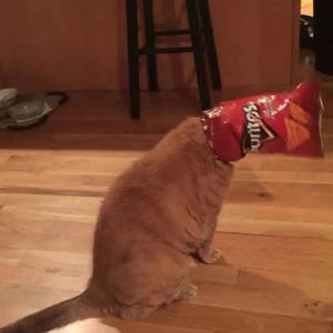 Most of the opposite