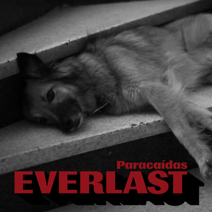 Everlast (En Vivo)