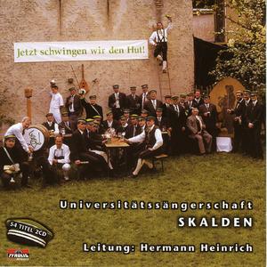 Wildgänse rauschen durch die Nacht