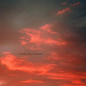 Ipnotizzato dal rumore bianco