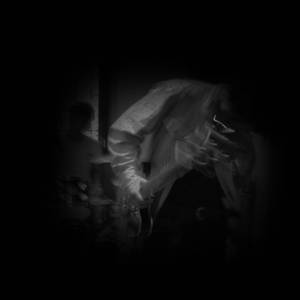 A Primera Hora (Demo)