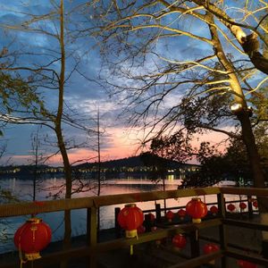 Star Crossing Night（feat. GALI）