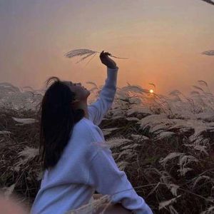 思念是一个圆