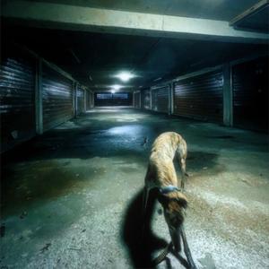 Didn't Feel Like Speaking