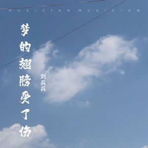 梦的翅膀受了伤