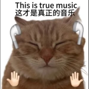 城市之光·午夜脉搏