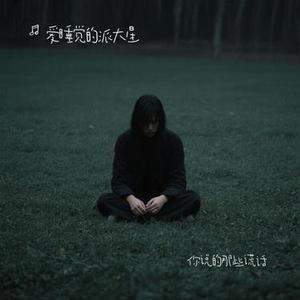 你说的那些谎话 (Cover 青海龙泽)