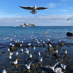 DJ小辉-迷宫 DJ（DJ小辉 remix）