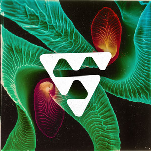 Tokyo Fox (L.A.D.J Remix)