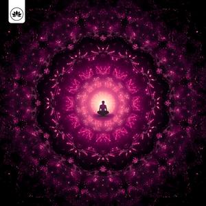 Where Miracles Gather