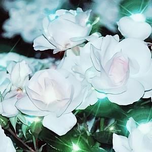银花