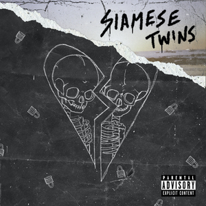 Siamese Twins