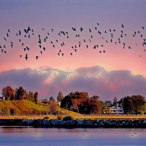 我愿平凡的陪在你身旁（翻自 王七七）