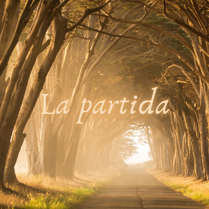 La partida