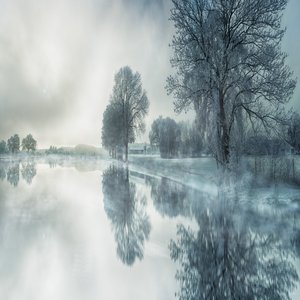 Snowy Morning