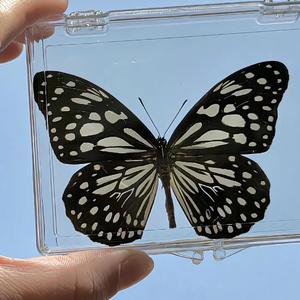 才二十三 (cover:方大同)