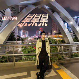 平凡的某某某 伴奏