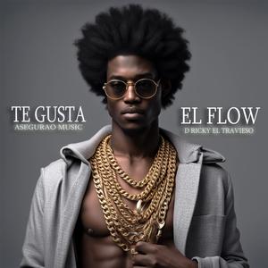 Te Gusta El Flow