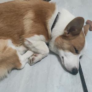 不懂不问 (prod. aura+jkei)