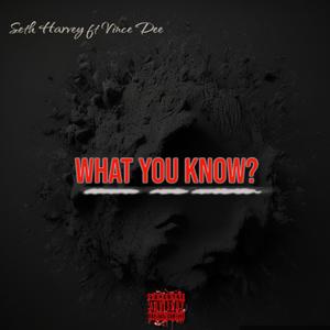 What You Know? (feat. Vince Dee)