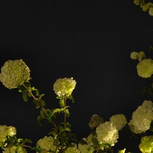 夏実（cover AKASAKI）