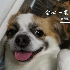 会心一笑 伴奏