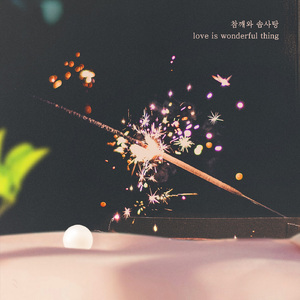 Love Is Wonderful Thing